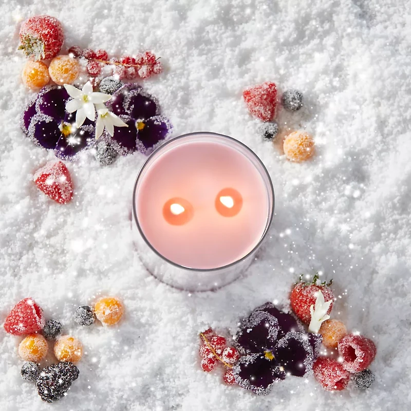 Summit Stargazing Large Tumbler Candle