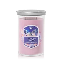 Summit Stargazing Large Tumbler Candle