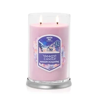 Summit Stargazing Large Tumbler Candle