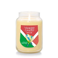 Sun Club Original Large Jar Candle