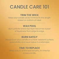 Golden Pumpkin Medium Pillar Candle