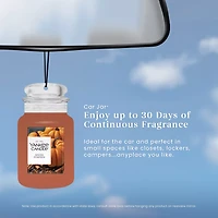 Spiced Pumpkin Car Jar®
