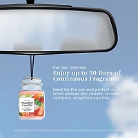 White Strawberry Bellini Car Jar® Ultimate