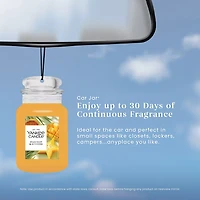 Starfruit & Sunshine Car Jar®