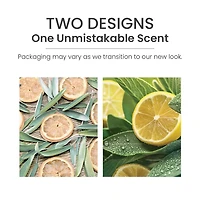 Sage & Citrus Car Jar®