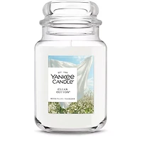 Clean Cotton® Original Large Jar Candle