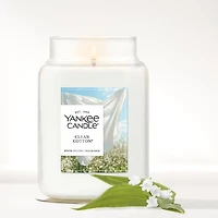 Clean Cotton® Original Large Jar Candle