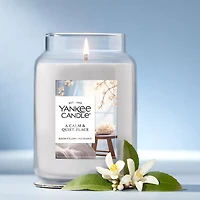 A Calm & Quiet Place Original Large Jar Candle