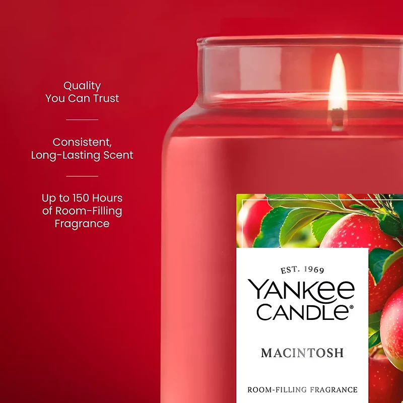 Macintosh Original Large Jar Candle