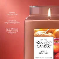 Apple Pumpkin Original Large Jar Candle