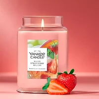 White Strawberry Bellini Original Large Jar Candle