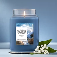 Ocean Air Original Large Jar Candle