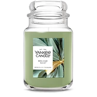 Holiday Sage®