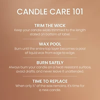 Honey Clementine Large Tumbler Candle