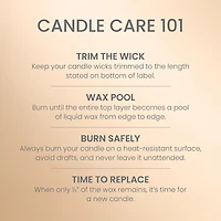 Pumpkin Maple Crème Caramel Large Tumbler Candle