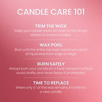 Iced Berry Lemonade Mini Candle