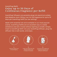 Spiced Pumpkin ScentPlug® Refill
