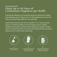 Balsam & Cedar ScentPlug® Refill
