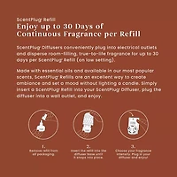 Apple Pumpkin ScentPlug® Refill
