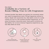 Pink Sands™ Wax Melts