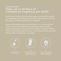Amber & Sandalwood  ScentPlug® Refill