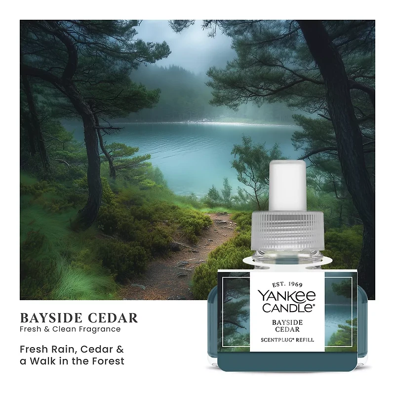 Bayside Cedar ScentPlug® Refill