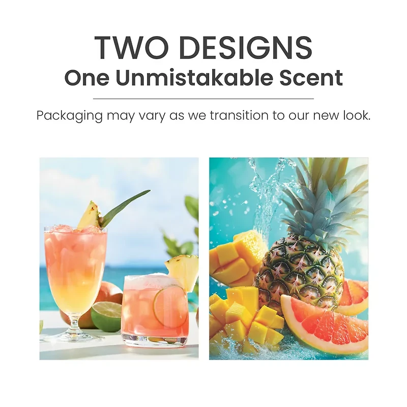 Bahama Breeze™ Sidekick® Fragrance Refill 2-Pack