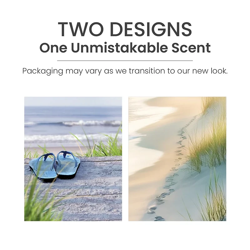 Beach Walk® ScentPlug® Refill