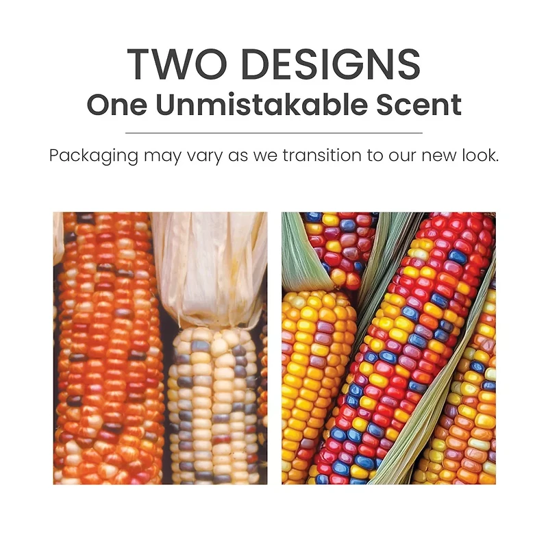 Harvest® Scenterpiece® Easy MeltCup