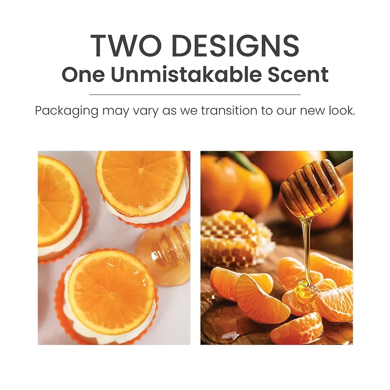 Honey Clementine ScentPlug® Refill