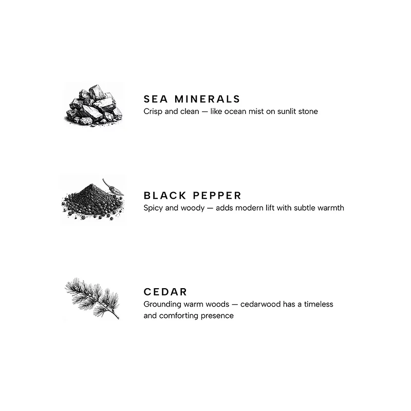 Marine Premium Reed Diffuser