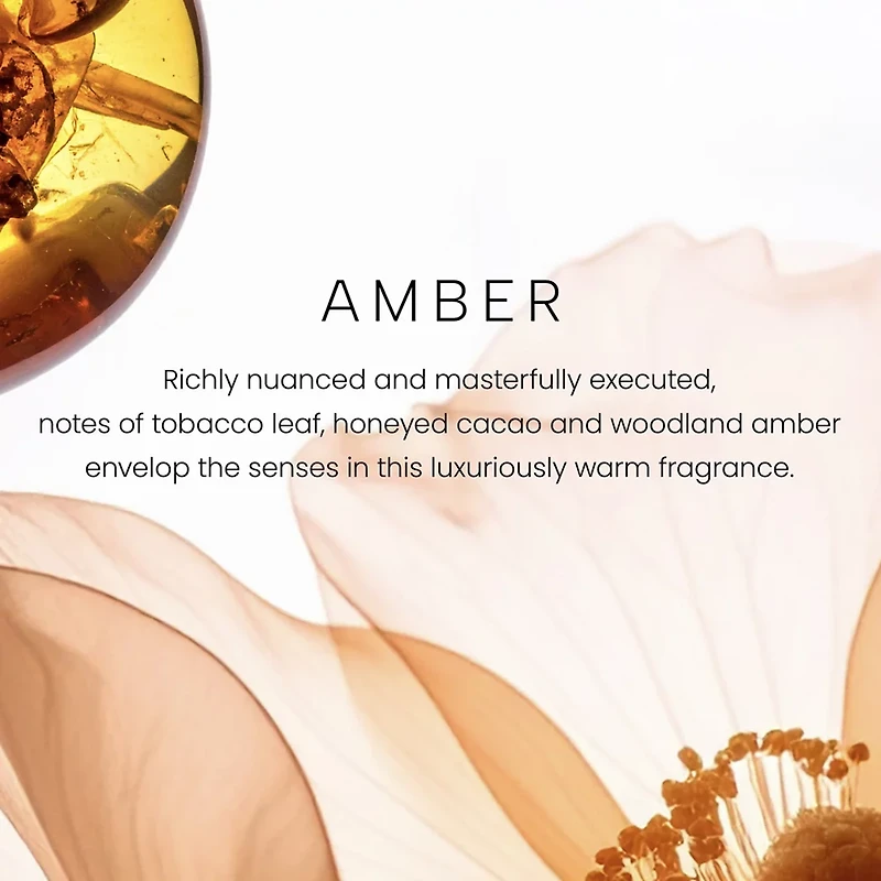 Amber Premium Single-Wick 7oz Candle