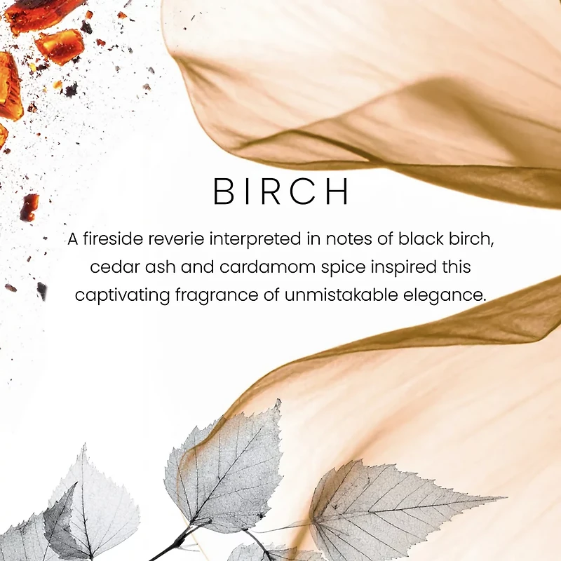 Birch Premium Single-Wick 7oz Candle