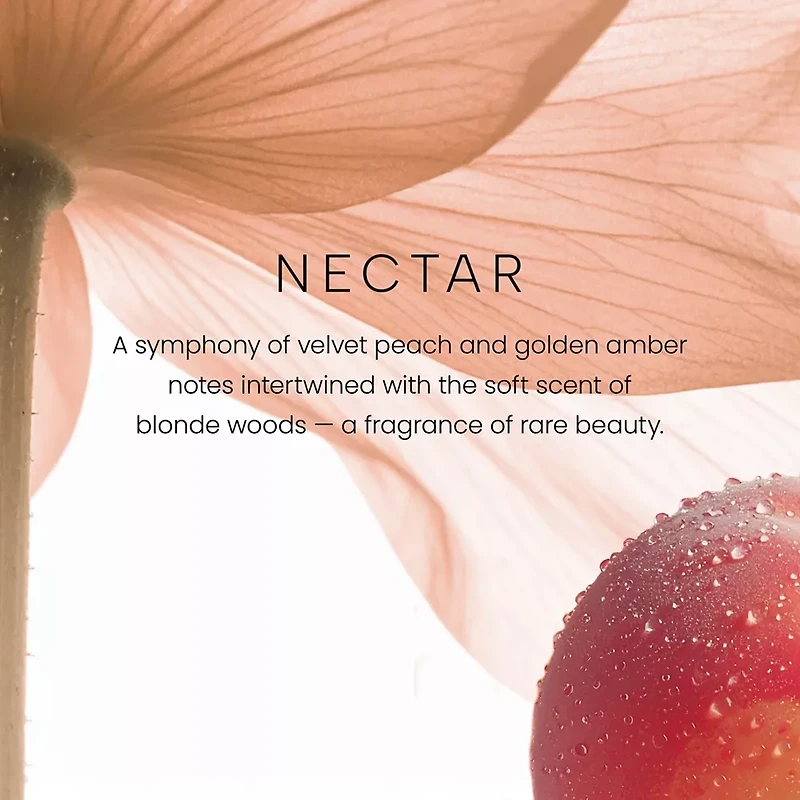 Nectar Premium Two-Wick 12oz Candle