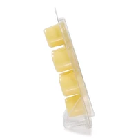 Sun Club Wax Melts
