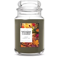 Crisp Forest Air Original Large Jar Candle
