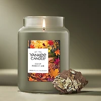 Crisp Forest Air Original Large Jar Candle