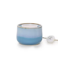 Reactive Glaze Scenterpiece® MeltCup Warmer