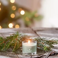 Balsam & Cedar Fireside Mini Candle