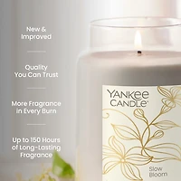 Slow Bloom Original Large Jar Candle