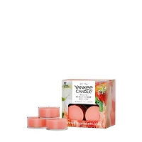 White Strawberry Bellini Scented Tea Light Candles