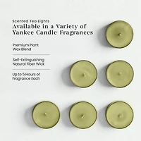 Sage & Citrus Scented Tea Light Candles