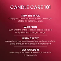 Chérie Lollipop 3-Wick Candle