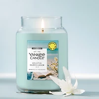 Coastal Cliffhanger Original Large Jar Candle