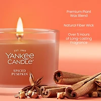 Spiced Pumpkin Mini Candle