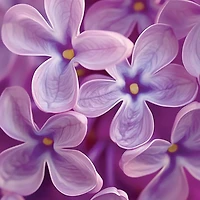 Lilac Blossoms Mini Candle