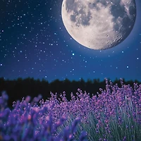 MidSummer's Night® Mini Candle