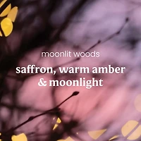 Moonlit Woods
