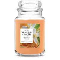 Sugared Neroli Original Large Jar Candle
