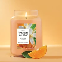 Sugared Neroli Original Large Jar Candle